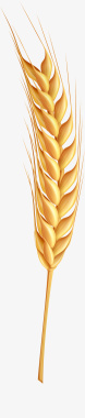 麦穗环金色写实麦穗图标图标