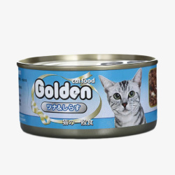 罐头里的猫咪白猫猫咪食用猫罐头高清图片