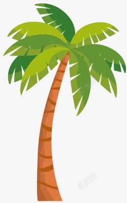 高大乔木棕榈树素材