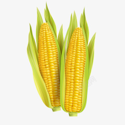 秋天玉米装饰卡通黄色玉米食物高清图片