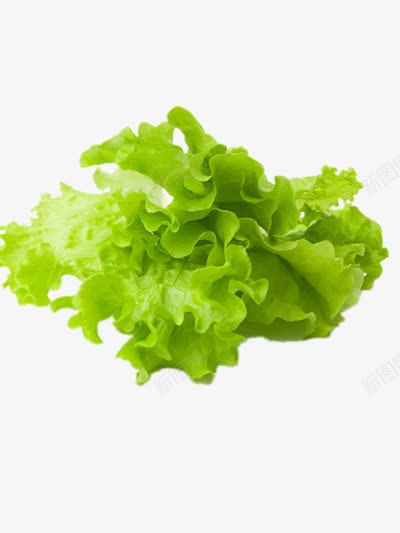 新鲜的生菜png免抠素材_新图网 https://ixintu.com 植物 绿色 营养健康 蔬菜