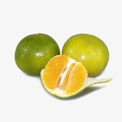 可口的橘子产品实物酸甜可口蜜柑高清图片
