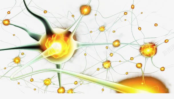神经细胞图png免抠素材_新图网 https://ixintu.com 传递 神经元 神经细胞 细胞 连接