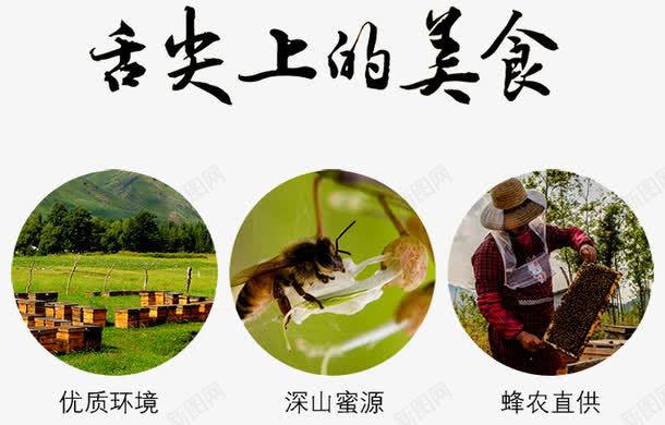 舌尖上的美食png免抠素材_新图网 https://ixintu.com 养蜂人 天然蜂蜜 搅蜜棒 槐花蜜 洋槐蜂蜜 洋槐蜜 淘宝天猫 美味 蜂箱 蜂蜡 蜜蜂 野蜂蜜 餐饮美食