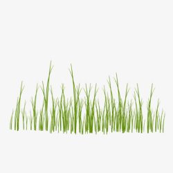 草地草坪绿草素材