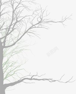 幽灵蝙蝠万圣节灰色树木高清图片