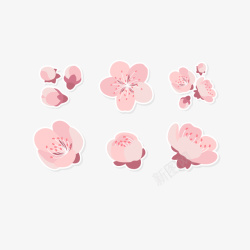 花摄影图卡通粉色腊梅花朵矢量图高清图片