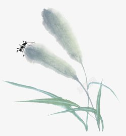 芦苇上的小鸟芦苇上的小虫子水彩画高清图片
