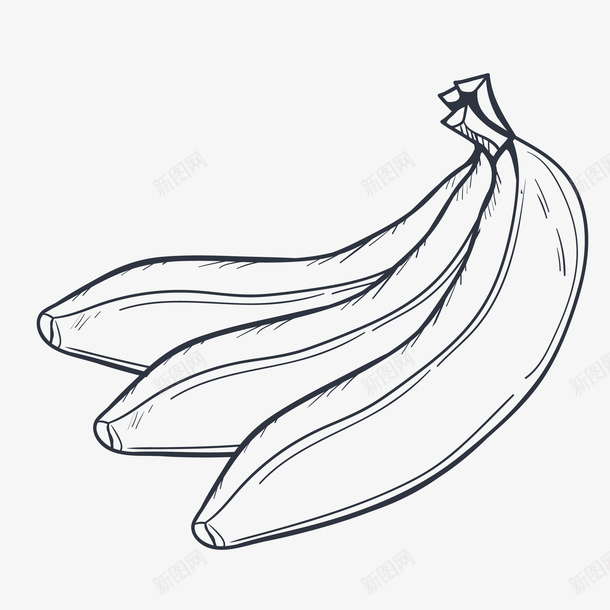 水果香蕉黑色素描图标png_新图网 https://ixintu.com 水果 水果图标 水果插画 线描香蕉 采摘 香蕉 香蕉图标 香蕉素描 黑白水果
