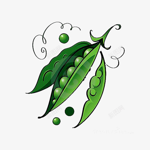 卡通绘画饱满绿豆荚png图片免费下载 素材7ysqpupqg 新图网 卡通绘画饱满绿豆荚png图片免费下载 素材7ysqpupqg 新图网