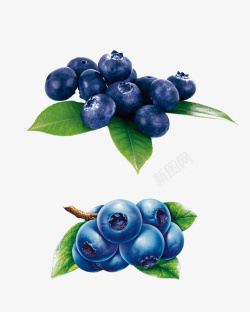 抗氧化富含花青素的抗氧化食物蓝莓高清图片