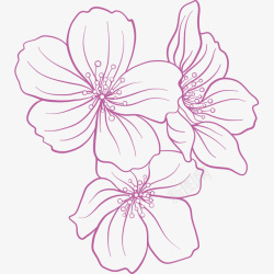 时尚文化手绘紫色花朵插画高清图片