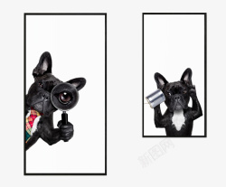 欧式小狗素材个性北欧风小狗图案高清图片