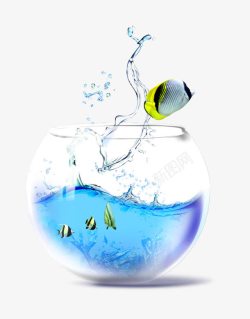 海底鱼缸图片蓝色的海洋高清图片