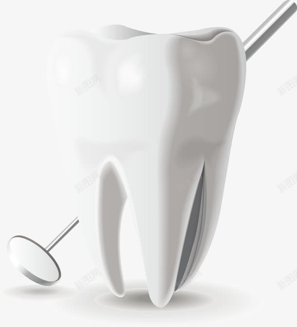 牙齿模型医疗图标png_新图网 https://ixintu.com 其他 其他模板 医学 医疗 医疗图标 医药图标 广告设计 牙科 牙镜 牙齿 牙齿模型 生活百科 矢量素材