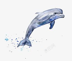 水墨海豚水彩海豚高清图片
