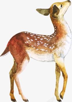 水彩梅花鹿免抠PNG手绘橘色的麋鹿图高清图片