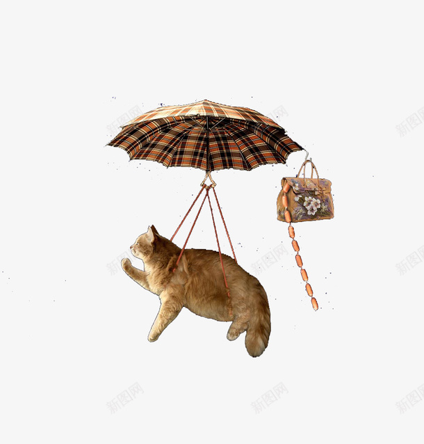 被雨伞吊起来的猫咪png免抠素材_新图网 https://ixintu.com 包包 猫 雨伞 飞起来