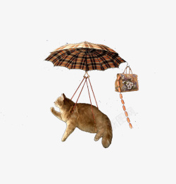 被雨伞吊起来的猫咪素材