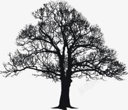 黑色大树大树树冠黑色欧式花纹高清图片