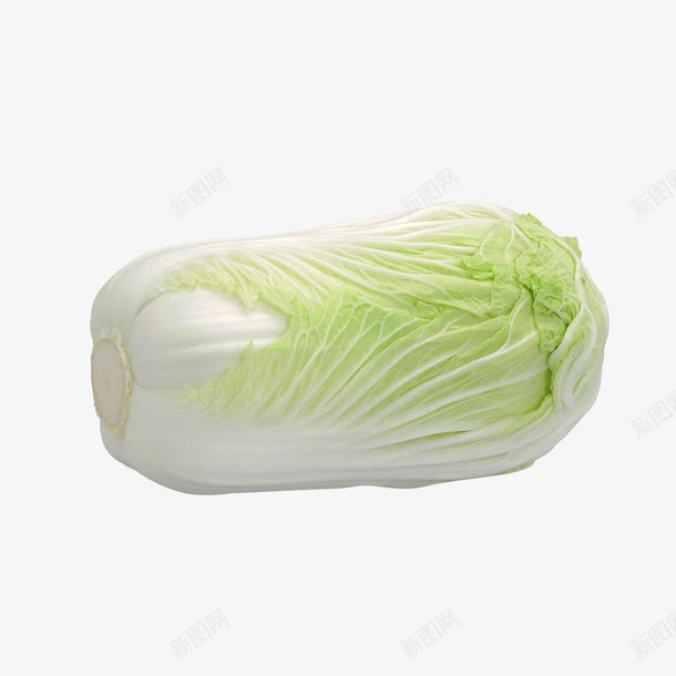 新鲜绿色的大白菜png免抠素材_新图网 https://ixintu.com 中华人民共和国省级行政区 中国台湾省 台湾白菜 大白菜 小白菜 新鲜 白菜 绿色