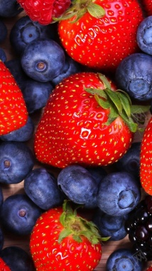 草莓蓝莓H5背景摄影图片