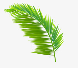一椰手绘绿色植物椰树叶子图高清图片