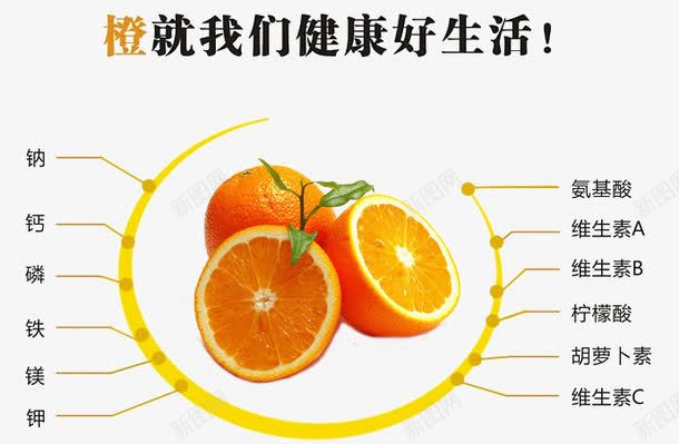 橙就我们健康好生活png免抠素材_新图网 https://ixintu.com 字体 排版 橙子 水果 赣南脐橙