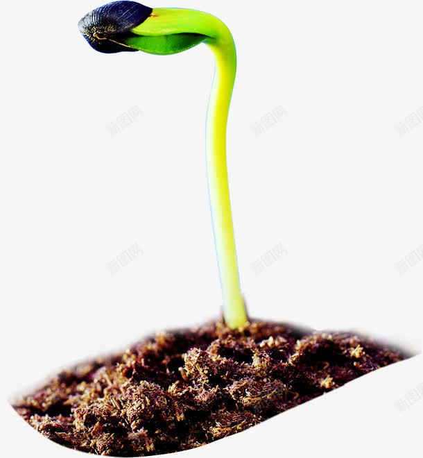 绿色发芽植物移动教育宣传单png免抠素材_新图网 https://ixintu.com 发芽 宣传单 教育 植物 移动 绿色