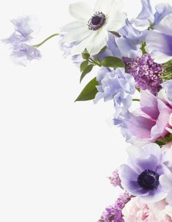 紫色的花卉效果植物素材