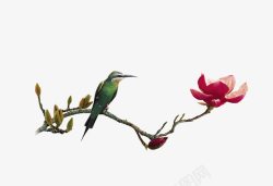 玉兰花鸟传统古典风格的花鸟高清图片