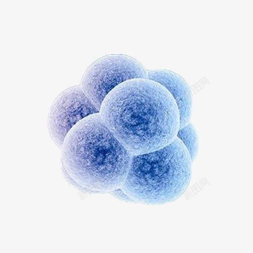 干细胞影像png免抠素材_新图网 https://ixintu.com 免费下载 医学 干细胞 影像 石油化工 素材 细胞