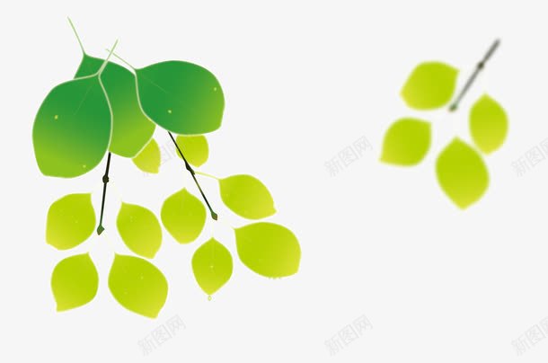 绿色叶子装饰png免抠素材_新图网 https://ixintu.com 叶子 夏至 春天 糖果绿 绿色
