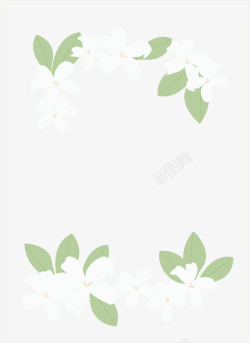 茉莉边框浪漫白色花朵边框矢量图高清图片