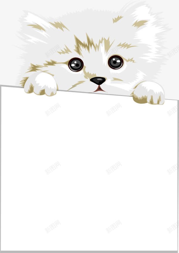 宠物猫抓着纸板文字边框png免抠素材_新图网 https://ixintu.com 宠物 宠物广告牌 猫 纸板文字边框