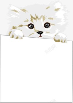 宠物猫抓着纸板文字边框素材