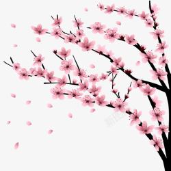 樱花树装饰樱花树高清图片
