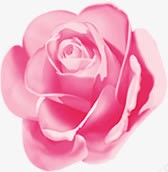 唯美春天粉色玫瑰素材