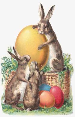 金色复活节复活节的兔子金色高清图片