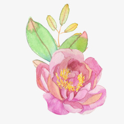 手绘花圃水彩彩绘花卉粉红色花朵叶子装饰高清图片