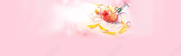 粉色康乃馨母亲节海报背景背景