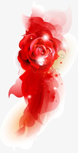 红色玫瑰盛开七夕素材