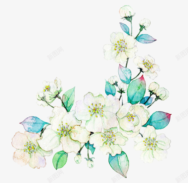 白色鲜花png免抠素材_新图网 https://ixintu.com 卡通 彩色 手绘 栀子花 水彩 白色 秋天 绿叶 装饰 鲜花