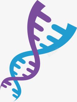 紫色DNA可爱简约基因链矢量图高清图片
