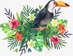 热带花丛手绘水彩大嘴鸟海报高清图片