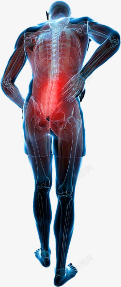 嵴椎疼痛标示图医学研究的脊椎图高清图片