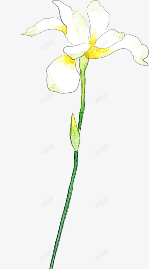 白色花卉鲜花名片png免抠素材_新图网 https://ixintu.com 名片 白色 花卉 鲜花