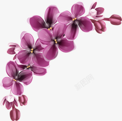 花卉卡通手绘紫罗兰花朵高清图片