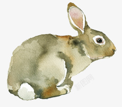 手绘水彩小兔子图素材
