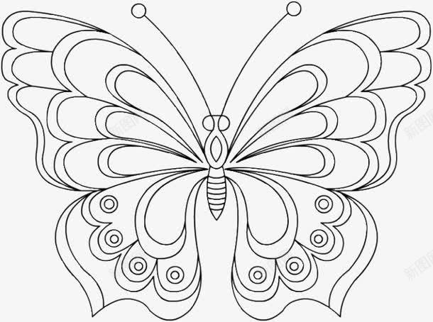 美丽的蝴蝶准备飞翔png免抠素材_新图网 https://ixintu.com 对称 直播 简笔画 线稿 蝴蝶 触角